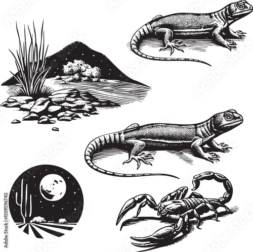 lizard stretches along a rocky hillside beneath a desert sky.