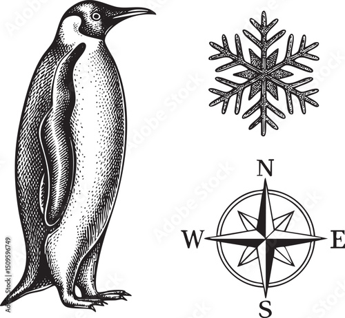 penguin stands confidently against a snowy backdrop near a compass rose.