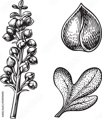 branch displays a cluster of berries and a stylized nut.