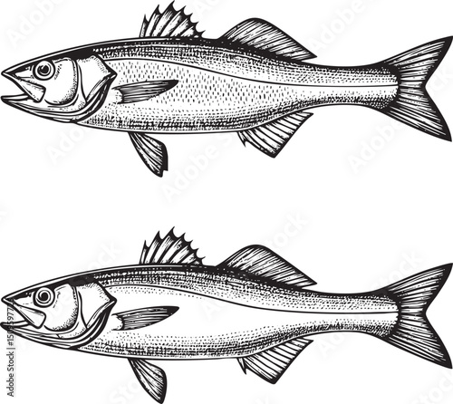 Two stylized fish swim in a dynamic linear .