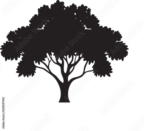 large solitary tree stands silhouetted against a bright white background.