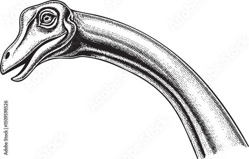 detailed monochrome depicts a long-necked prehistoric creature.
