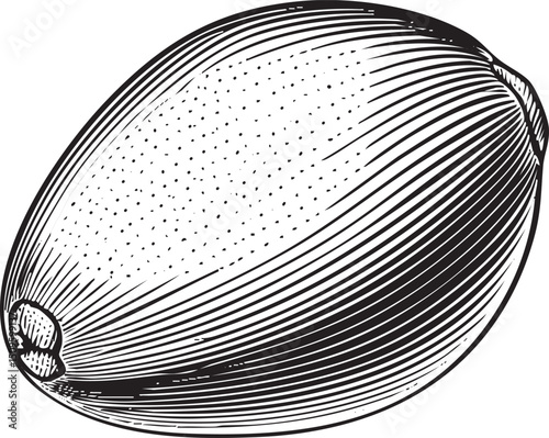 detailed black and white of a ripe melon.