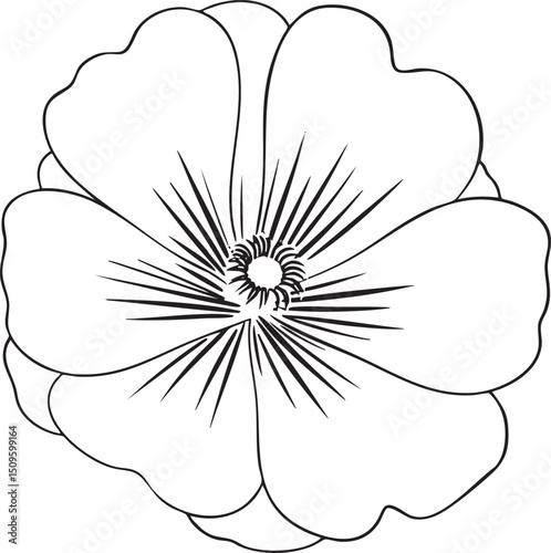 simple white flower with delicate petals and radiating lines.