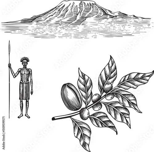 solitary figure stands before a majestic mountain alongside a branch bearing coffee beans.