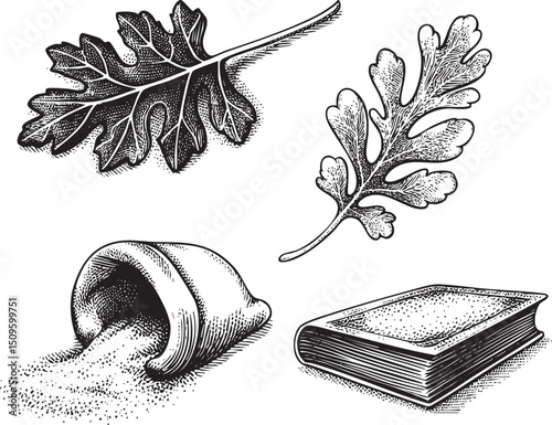 Two oak leaves and a book rest on a white surface.