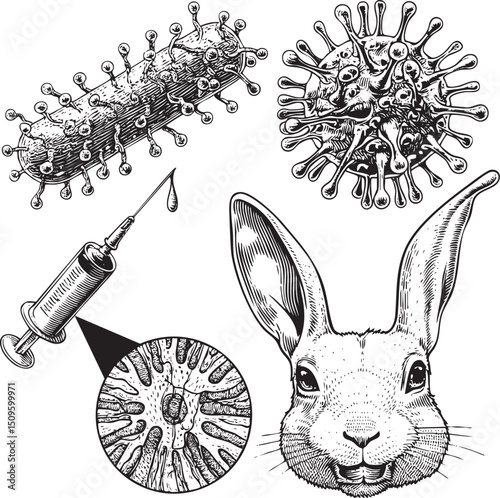 rabbit receives a vaccine injection against a virus.
