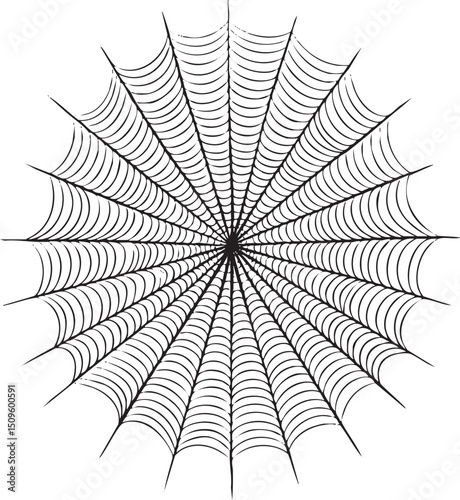 detailed black and white spiderweb stretches outwards from a central point.