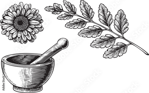 rustic wooden mortar and pestle rests beside a delicate flower and vibrant herb.