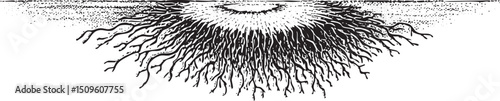 single eye is partially submerged beneath a dark textured surface.
