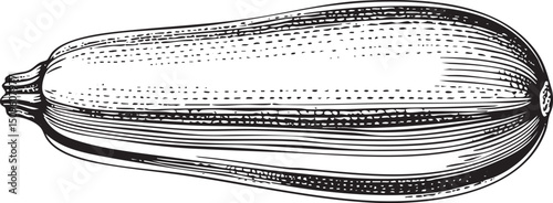 detailed black and white of a long slender gourd.