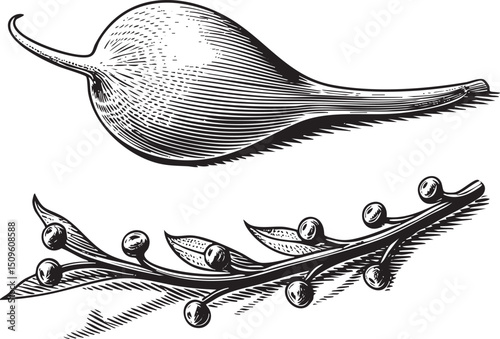 stylized elongated seed rests on a delicate branch adorned with small spheres.