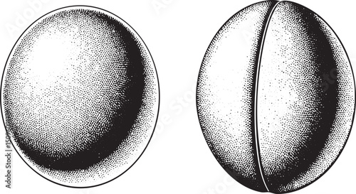 Two spheres one complete and one partially illuminated are presented side by side.