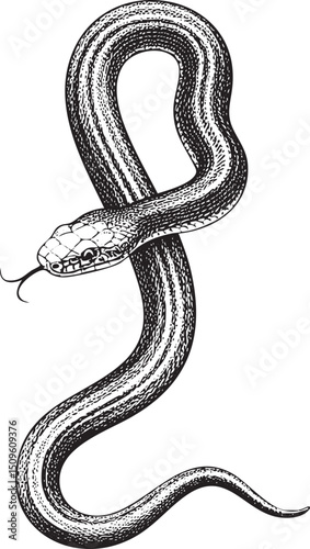 dark serpent curls gracefully around a smooth curved surface.