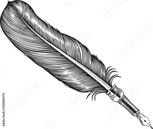 detailed black and white of a quill pen resting on a smooth surface.