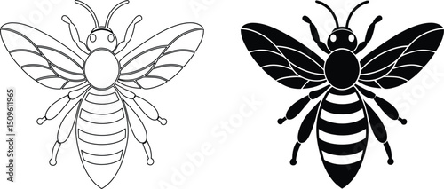 Honey Bee Illustration Black Silhouette and Outline Version on White Background