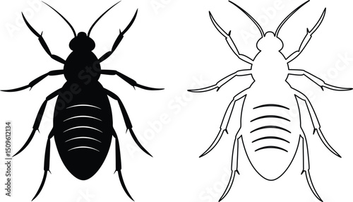 Vector illustration of insect in black silhouette and outline style