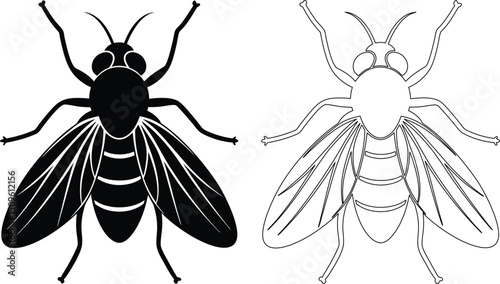 Black and White Fly Illustration with Outline and Solid Fill