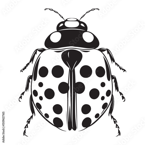 Ladybug black and white vector illustration isolated cute insect graphic element design, ladybug, ladybug vector, black and white, insect, beetle, bug, graphic, illustration, isolated, vector, design