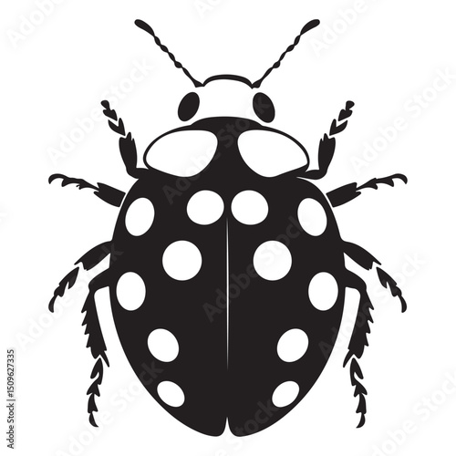 Ladybug black and white vector illustration isolated cute insect graphic element design, ladybug, ladybug vector, black and white, insect, beetle, bug, graphic, illustration, isolated, vector, design