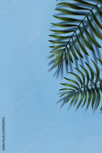 Colorful tropical wallpaper with hand drawn tropical palm tree leaves. Exotic plants, print background, postcards, wall, pattern, textile