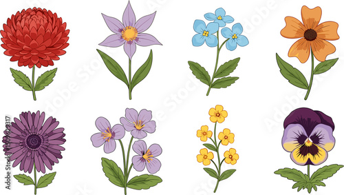 Vector illustration showing a variety of different floral species with leaves and stems in a botanical arrangement on transparent background