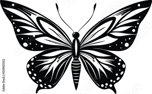 Stylish Black and White Butterfly Design.