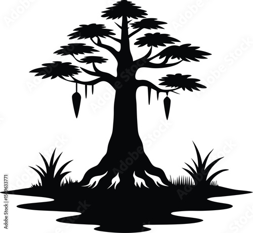 Bald cypress with knees silhouette, Cypress tree silhouette vector symbol
