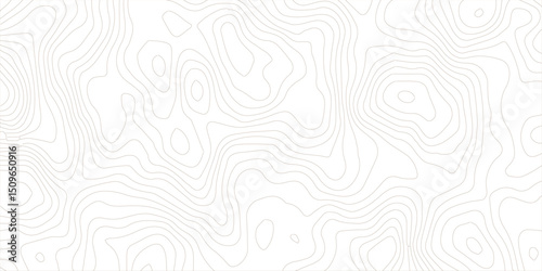 White wave paper curved reliefs abstract background, Abstract topographic contours map background, Topography map background. Vector geographic contour map.