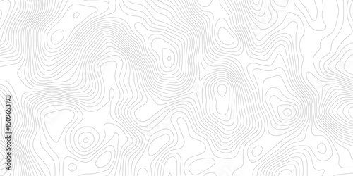 White wave paper curved reliefs abstract background, Abstract topographic contours map background, Topography map background. Vector geographic contour map.