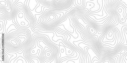White wave paper curved reliefs abstract background, Abstract topographic contours map background, Topography map background. Vector geographic contour map.