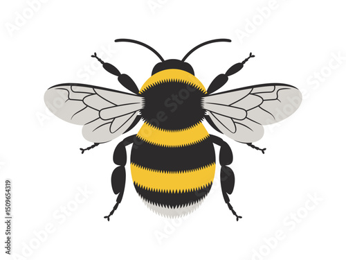 A detailed and colorful illustration of a bumble bee isolated on a white background