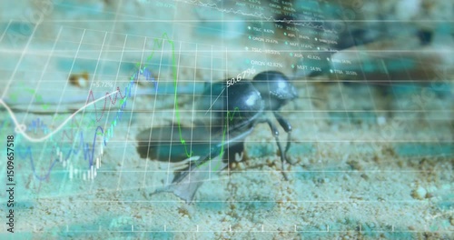 Beetle crawling across sand showing faint overlay analyzing progress with rising percentage charts