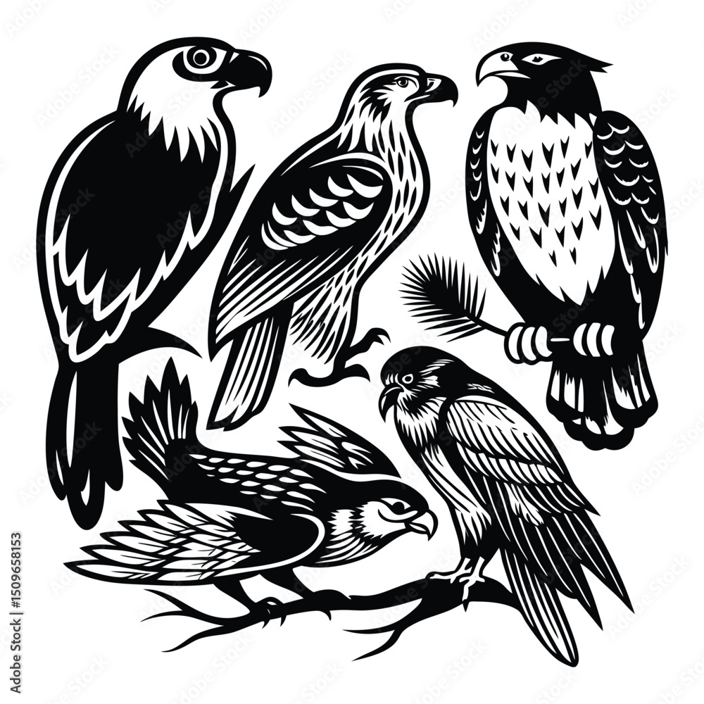 Fototapeta premium Majestic eagle, falcon, bird, and hawk silhouette in flight with outstretched wings—symbol of power, freedom, and grace in bold, striking animal form. 