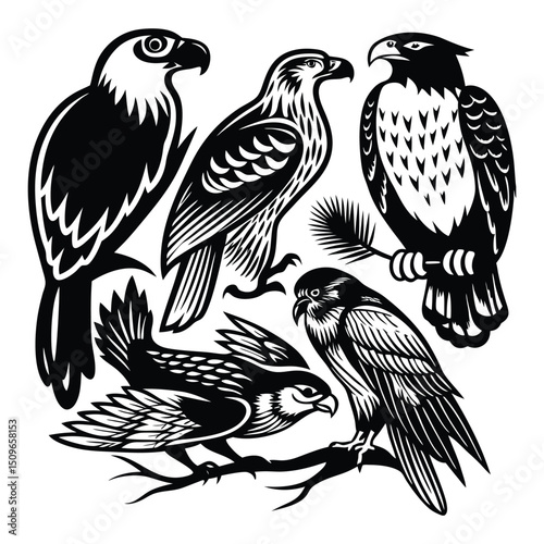 Majestic eagle, falcon, bird, and hawk silhouette in flight with outstretched wings—symbol of power, freedom, and grace in bold, striking animal form.
