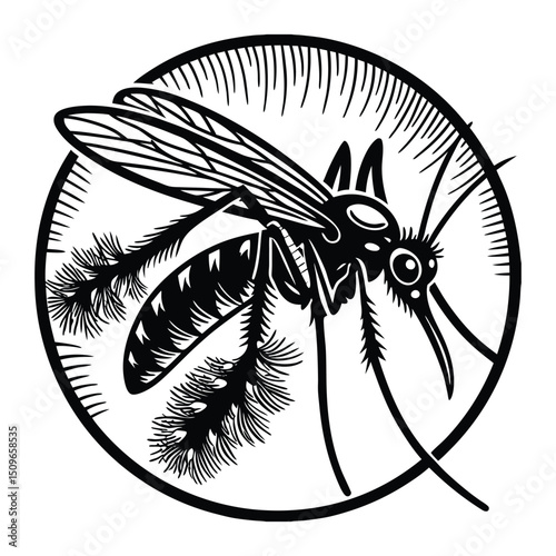 Silhouette of a flying and sucking mosquito with extended proboscis, delicate wings, and long legs—capturing the insect’s stealthy and agile form in mid-air.
