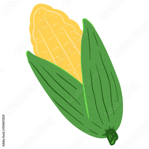 Illustration of an Ear of Corn