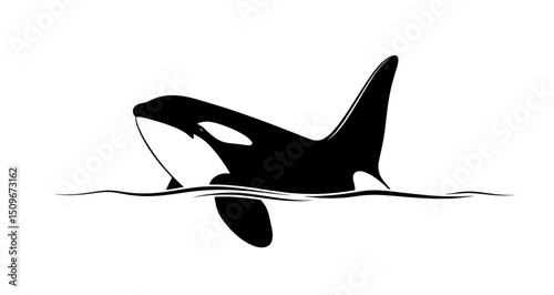 Striking Black and White Orca Illustration in Water Graphic Animal