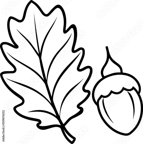 oak leave and acorn outline vector illustration line art 
