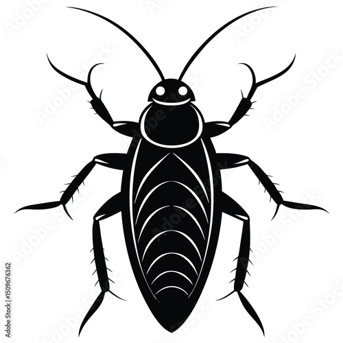 Single cockroach illustration on white background