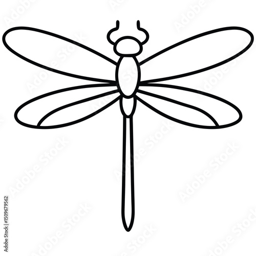 Detailed line art vector design of a dragonfly