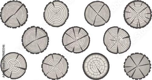 Tree ring wood circle set. Hand drawn tree ring pattern, line ripple circle wood texture. Wood organic slice line design. Vector illustration.