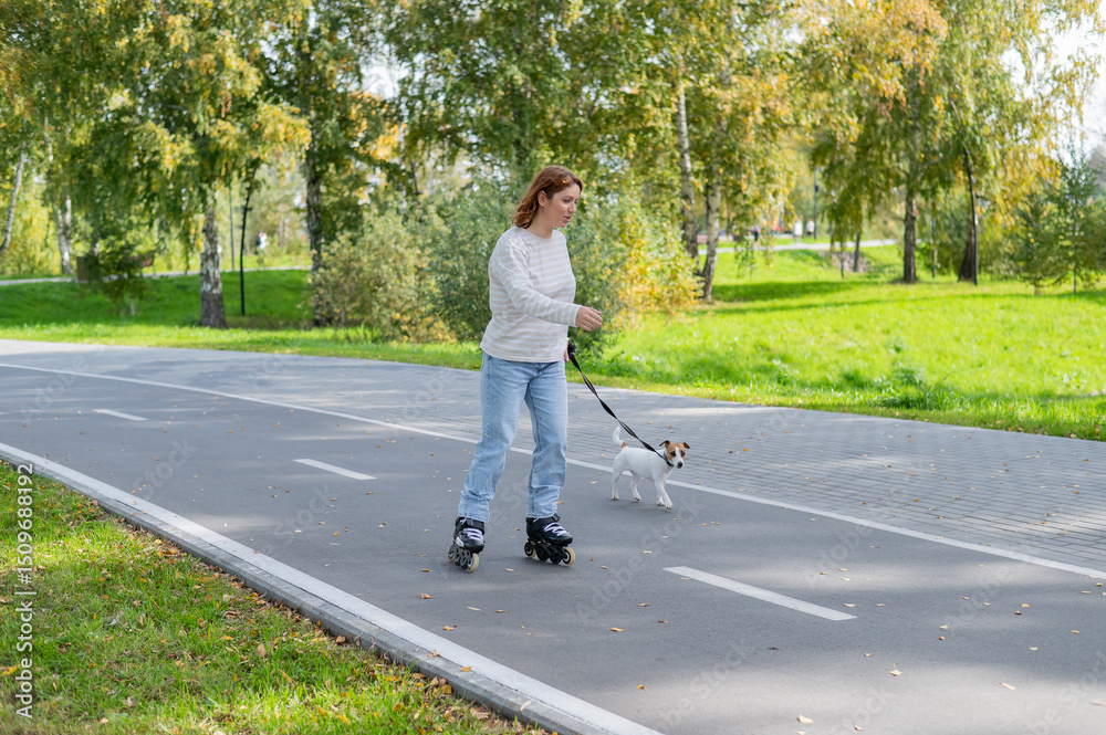 custom made wallpaper toronto digitalCaucasian woman roller skating with her jack russell terrier dog in park. 