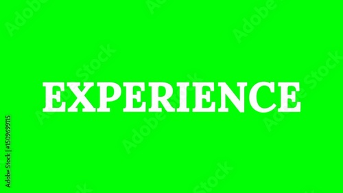 Experience text green screen animated video