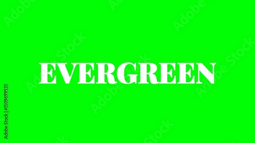 Evergreen text green screen animated video