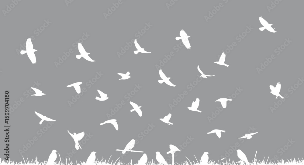 Flock of Birds Flying in Gray Sky White Silhouettes Nature Wallpaper