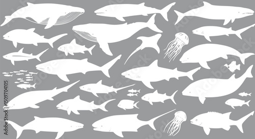 Ocean Life: White Silhouettes of Whales Sharks Fish and Jellyfish