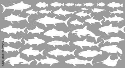 White Silhouettes of Various Fish and Orcas Species Ocean Life Clipart