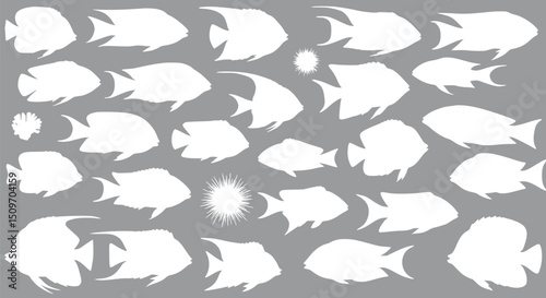 White Silhouettes of Angelfish and Sea Urchins on Grey Background