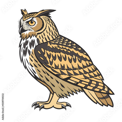 European eagle-owl vector illustration in whit background.